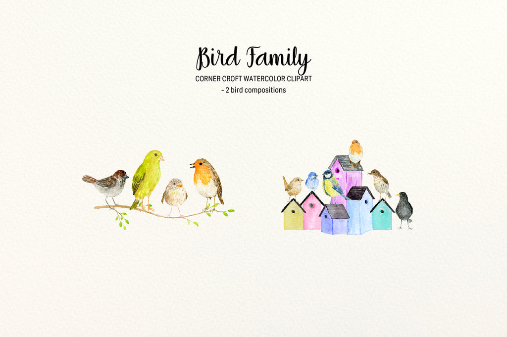 Watercolor bird family, birds on tree branch, birds on bird nest