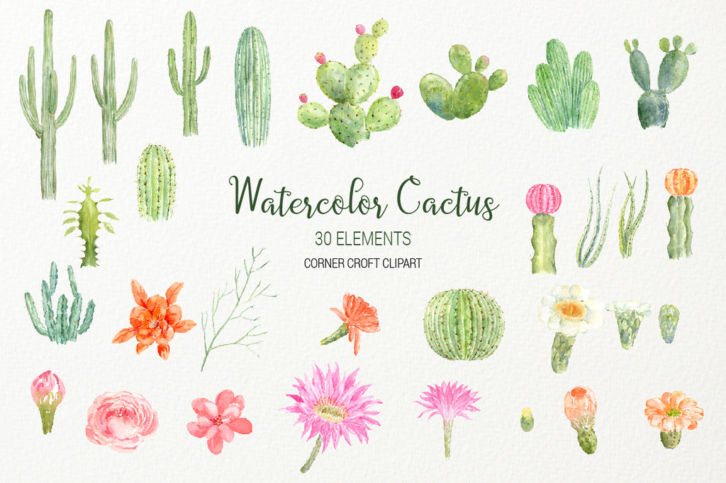 cactus clipart, cactus and flower, instant download 