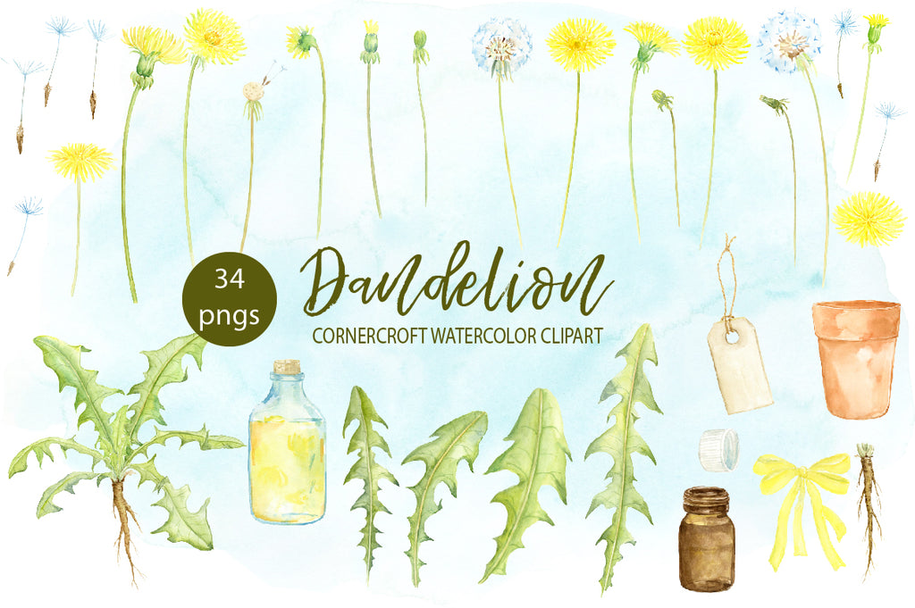 dandelion clipart, watercolor dandelion illustration, yellow flower, flower bud, dandelion plant, dandelion seed 
