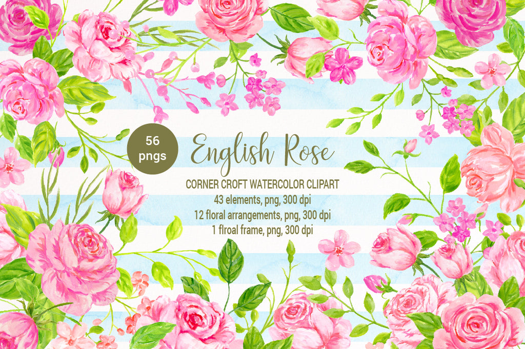 watercolor clipart English rose, romantic cottage rose, floral compositions instant download 