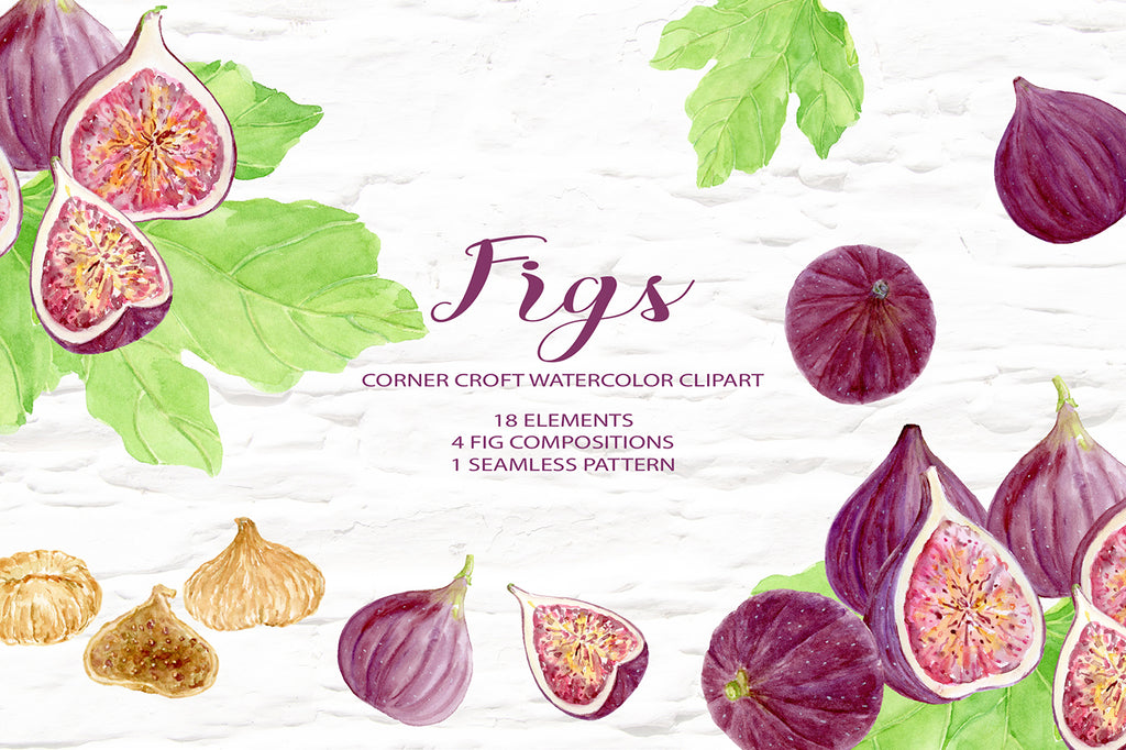 Watercolor fig illustration, digital download, ripe fig, half fig, fig leaf, digital download