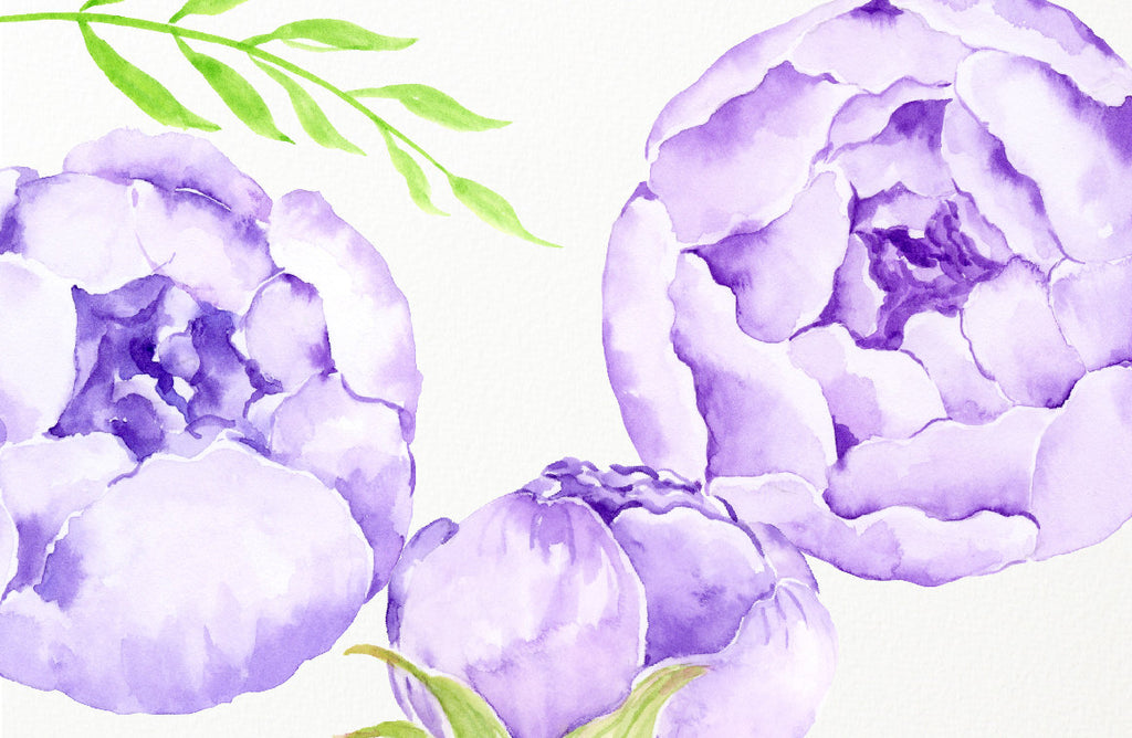 Watercolor lilac peony, purple peony, peony bouquet and floral elements for instant download