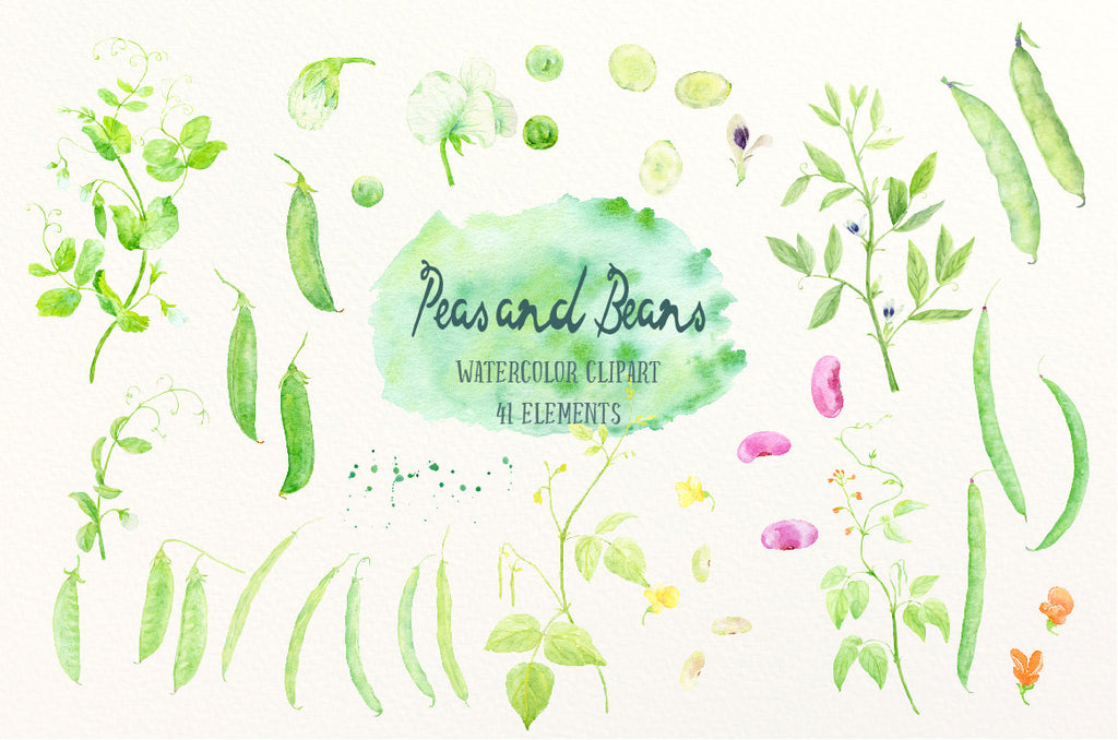Watercolor Peas and Beans, garden peas, mangetout, green beans and runner beans for instant download, watercolor Legumes