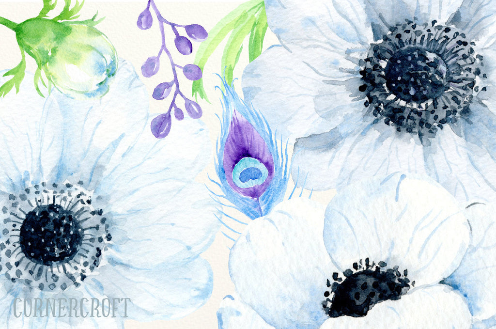 Watercolor Clipart Enchanting Anemone, white and blue anemones, feathers and decorative elements for instant download