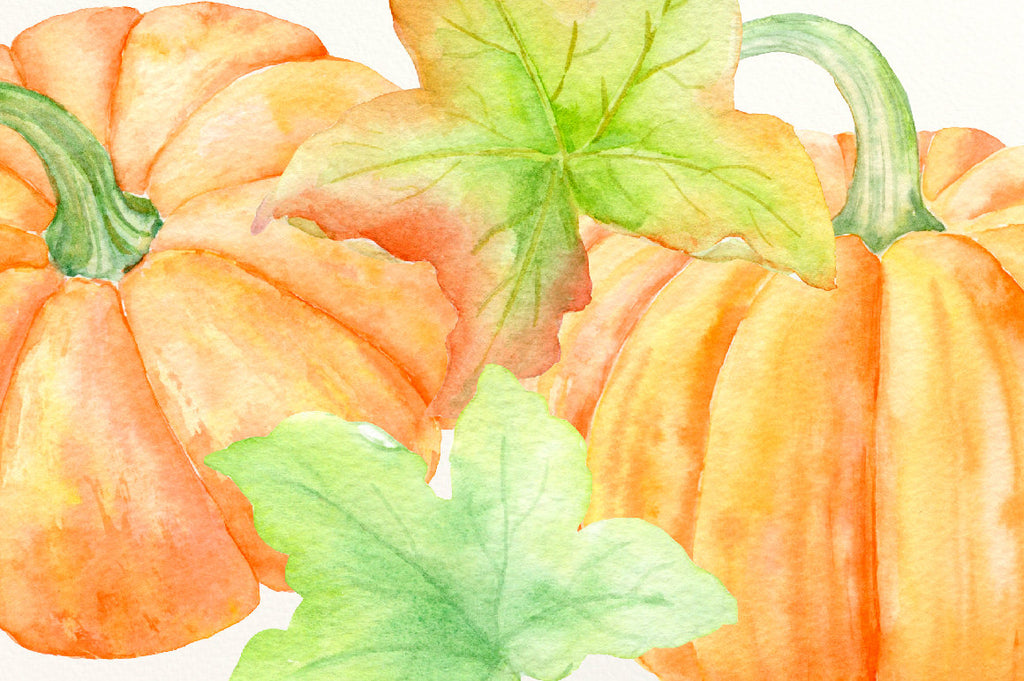 watercolor pumpkin illustration, digital download 