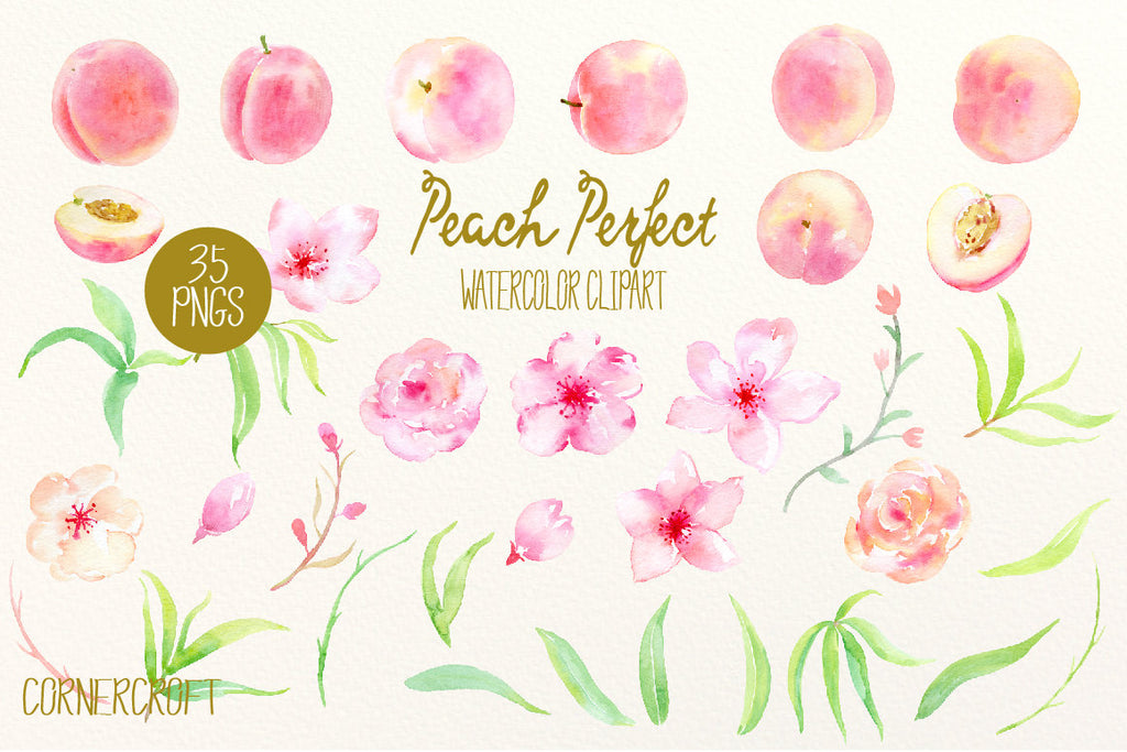  clipart fresh peaches, pink flowers, peach flowers and leaves, peach patterns for instant download