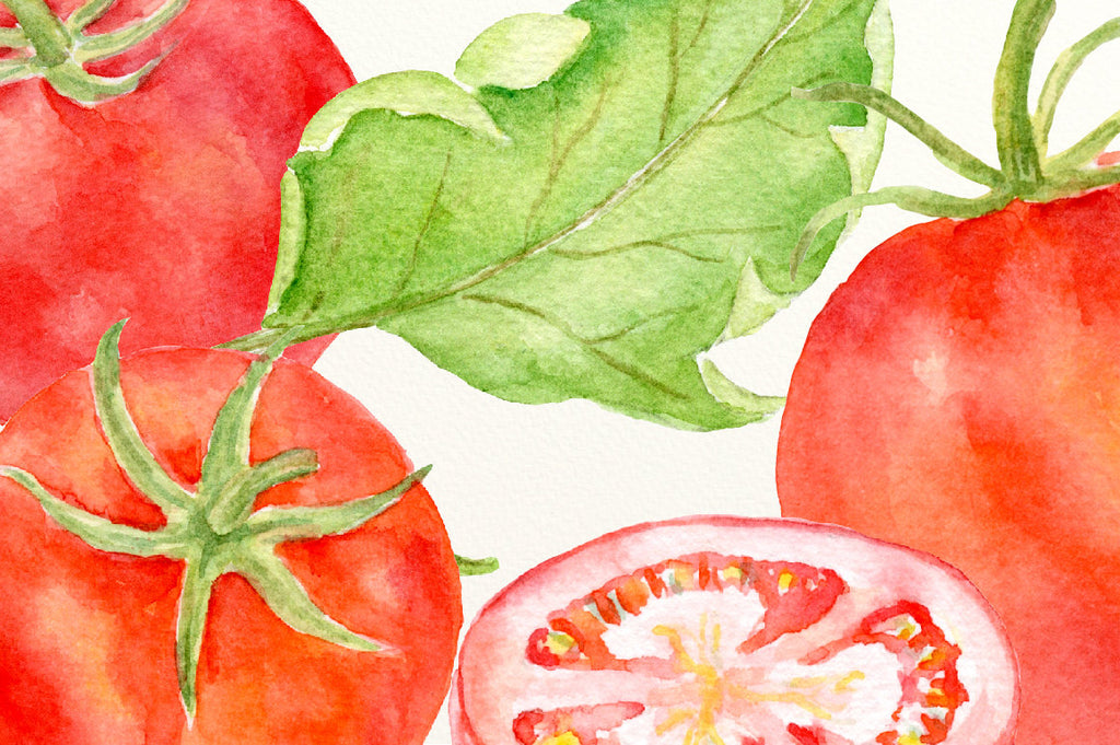 Watercolor red tomatoes, red tomatoes, tomato slices, tomato wedges, leaves, flowers and watercolor texture for instant download