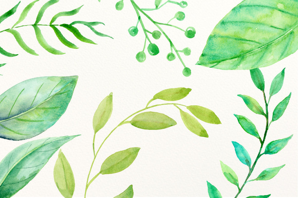 watercolor clipart green leaf, branch, and berry, instant download 