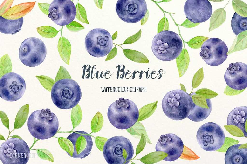 Watercolor clipart blue berries, blueberries, detailed paintings of blue berry and fruit patterns
