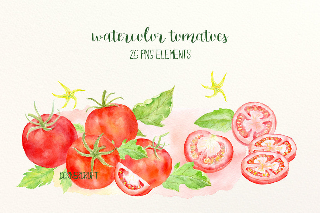 Watercolor red tomatoes, red tomatoes, tomato slices, tomato wedges, leaves, flowers and watercolor texture for instant download