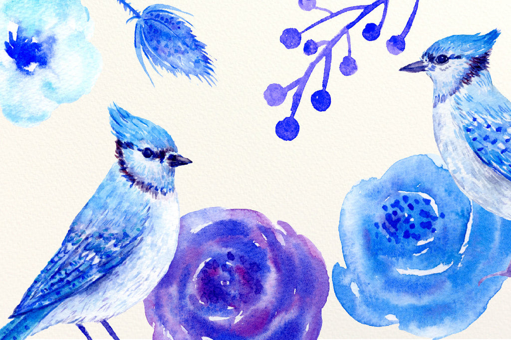 watercolor clipart blue Jay, blue jays, blue roses, blue flowers, winter flowers