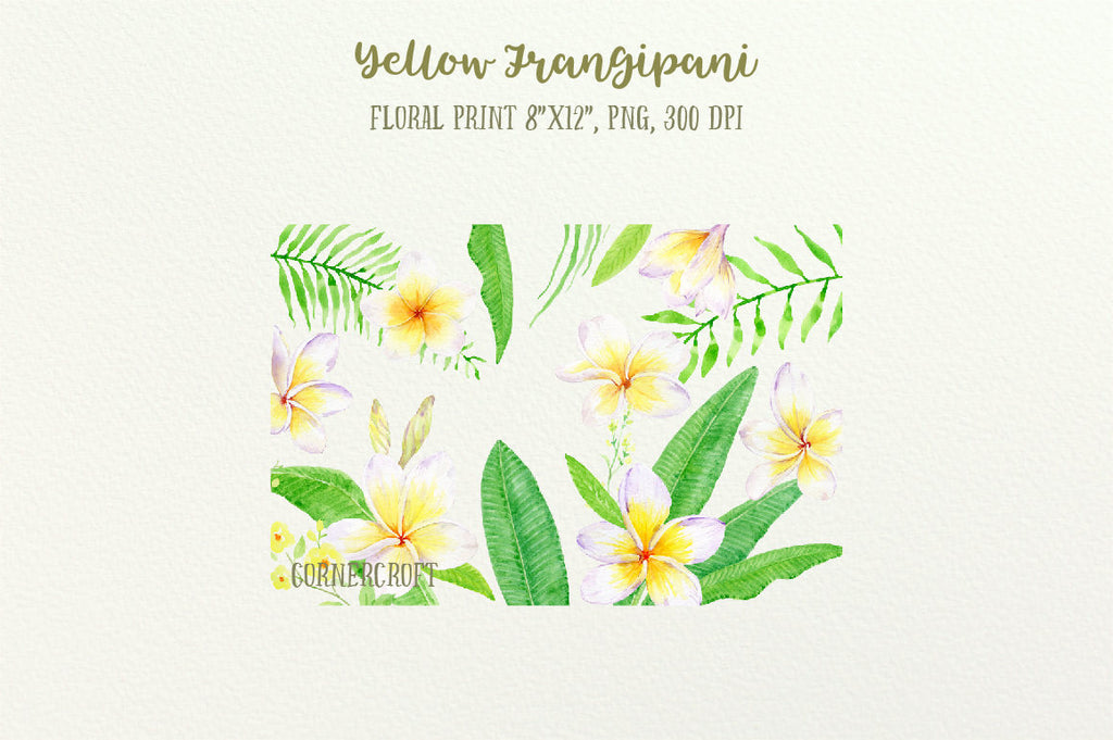 Frangipani Clip Art, Watercolor yellow frangipani, green foliage, botanical frangipani for instant download