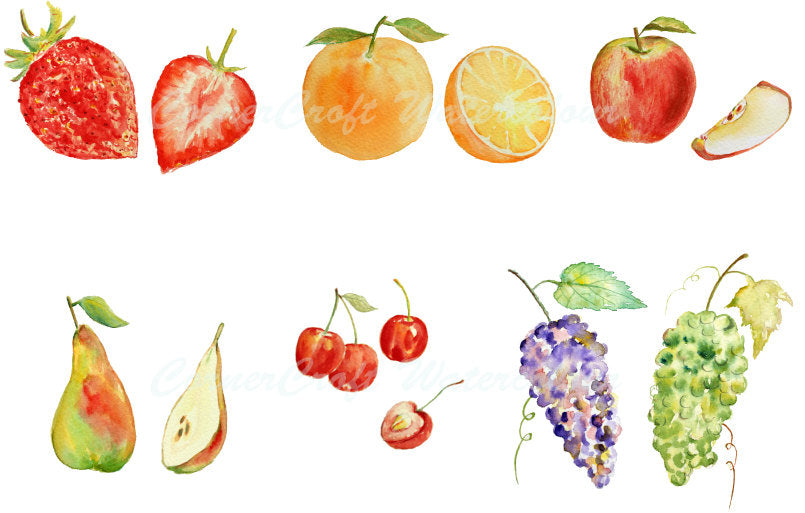 watercolor fruit, fruit illustration, grapes, apple, strawberries, pear, cherry