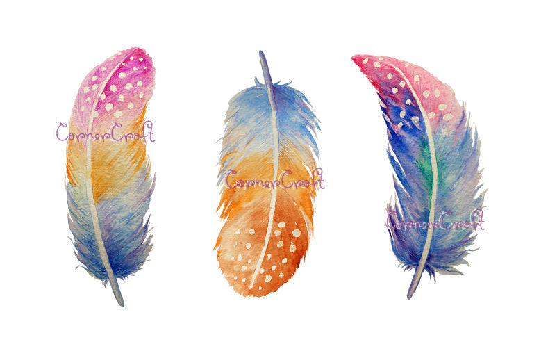 Watercolor spotted feathers, watercolor feather illustration 