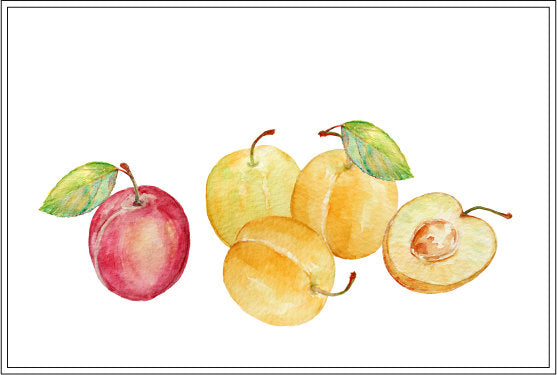 watercolor plum clipart, golden and red plums, plum branch