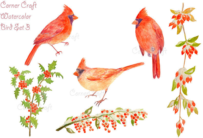 watercolor clipart red cardinals and berries illustration, Christmas clipart instant download 