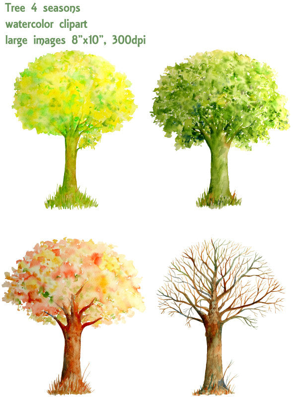 watercolor clipart oak tree, spring tree, summer tree, autumn tree and winter tree, tree illustration 