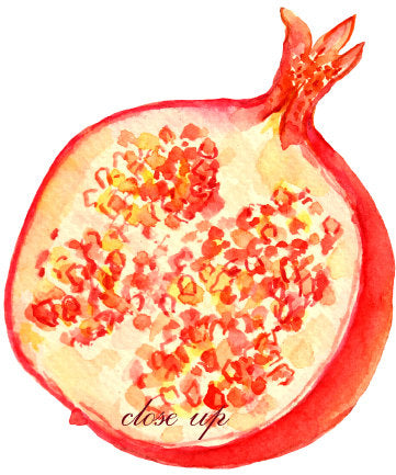 watercolor clipart of fruit, banana, pomegranate, kiwi fruit, watermelon, lime, plum