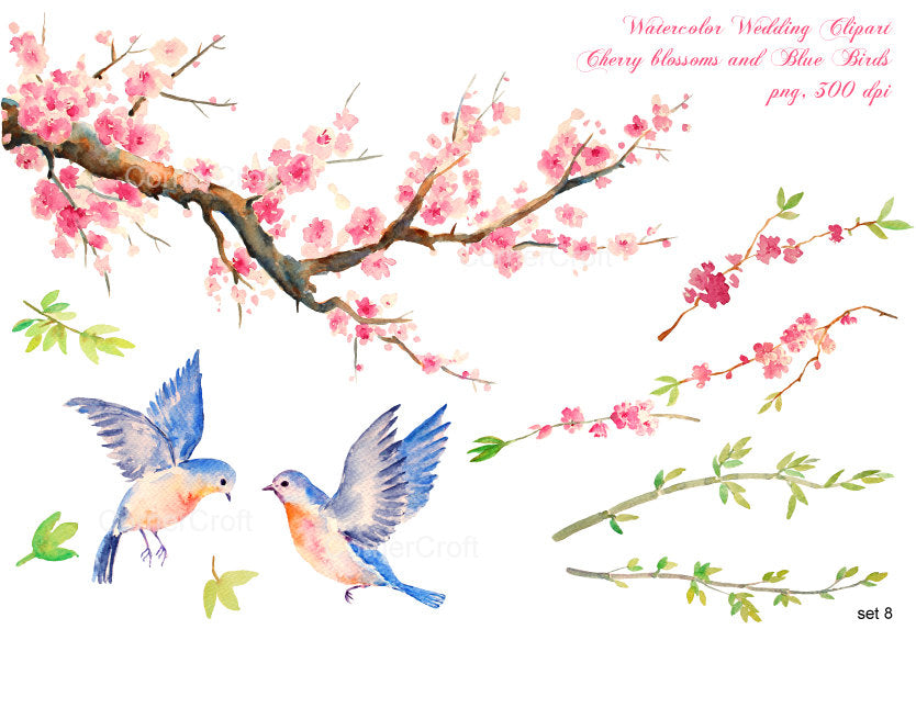 watercolor pink cherry blossom, blue birds, instant download 
