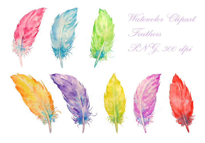 Watercolor feather clipart, pastel color feather illustration 