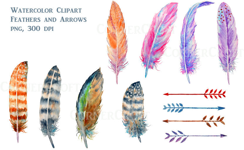 Watercolor boho feathers brown and purple spotted, arrows instant download