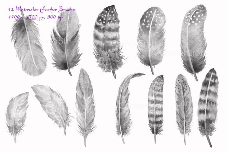 watercolor photoshop brush, feather brush, abr brush, instant download 