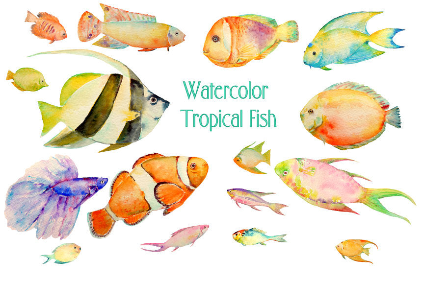 watercolor tropical fish clipart, fish illustration, colourful fish