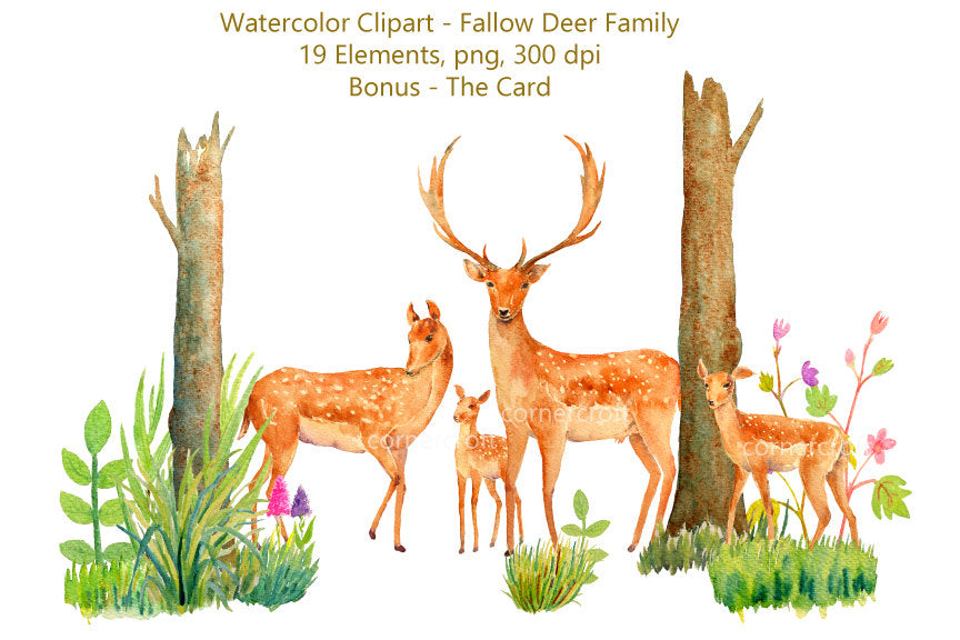 watercolor deer family, deer clipart, stag, fawn, deer family, easter, deer illustration 