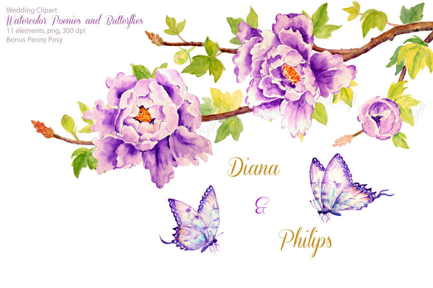 watercolor peony clipart, peony, butterfly, instant download 
