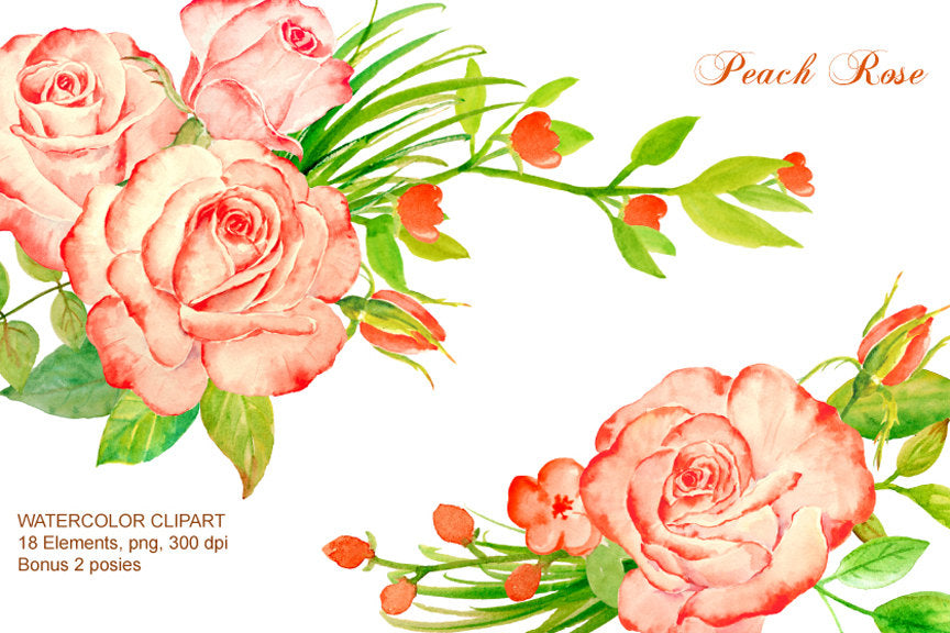 Hand painted watercolor peach roses, salmon pink roses, flower buds and leaves for instant download