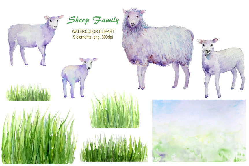 watercolor clipart of sheep and lamb, sheep family 