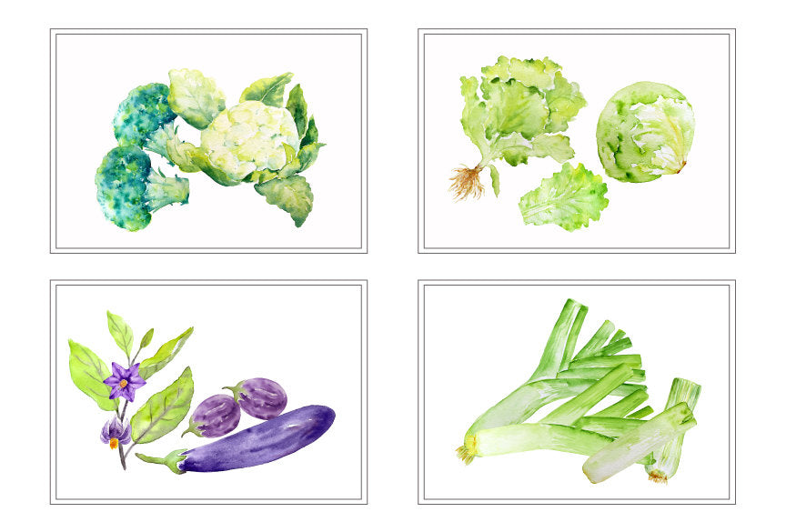 vegetable illustration, botanic drawing, lettuce, leeks, aubergine, cabbage, broccoli