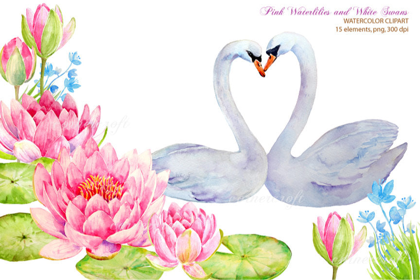 watercolor wedding clipart, white swan, waterlily water lily