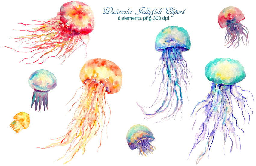 watercolour clipart jellyfish, jellies, blue, purple and orange jellies. 