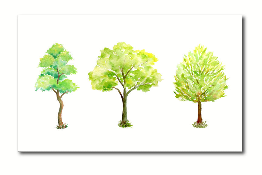 Hand painted watercolor tree collection - variety of trees in green and gold color, and bare trees in winter