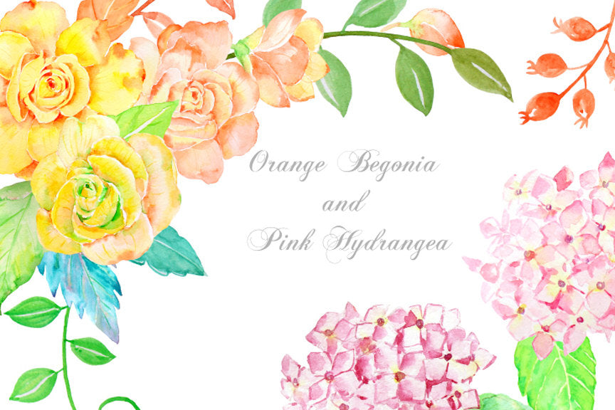 Watercolor Clipart - Orange Begonia and Pink Hydrangea printable instant download