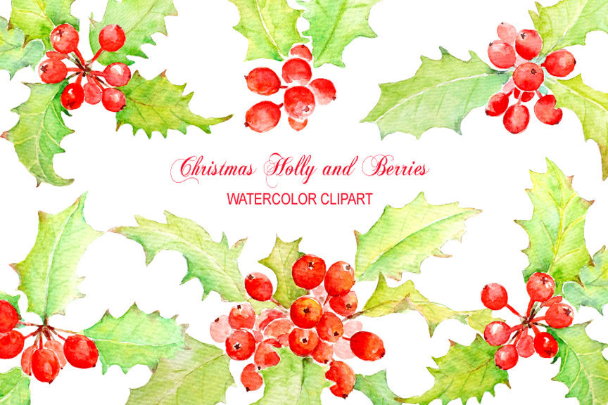 Watercolour Christmas Holly and Berry instant download