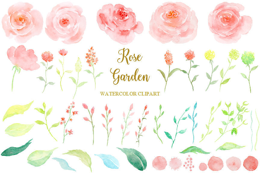 watercolour pink roses, rose garden, watercolor clipart, soft pink flower