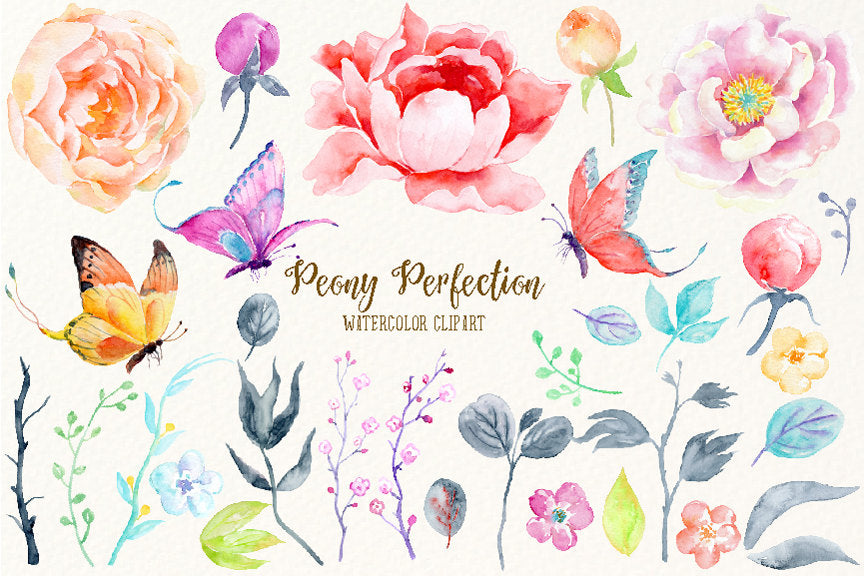watercolour peony perfection, peach peony, pink peony, red peony, peony illustration 