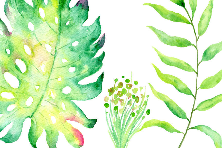 Hand painted watercolor clipart Tropical Foliage, green leaf, tropical leaves, jungle leaves for instant download