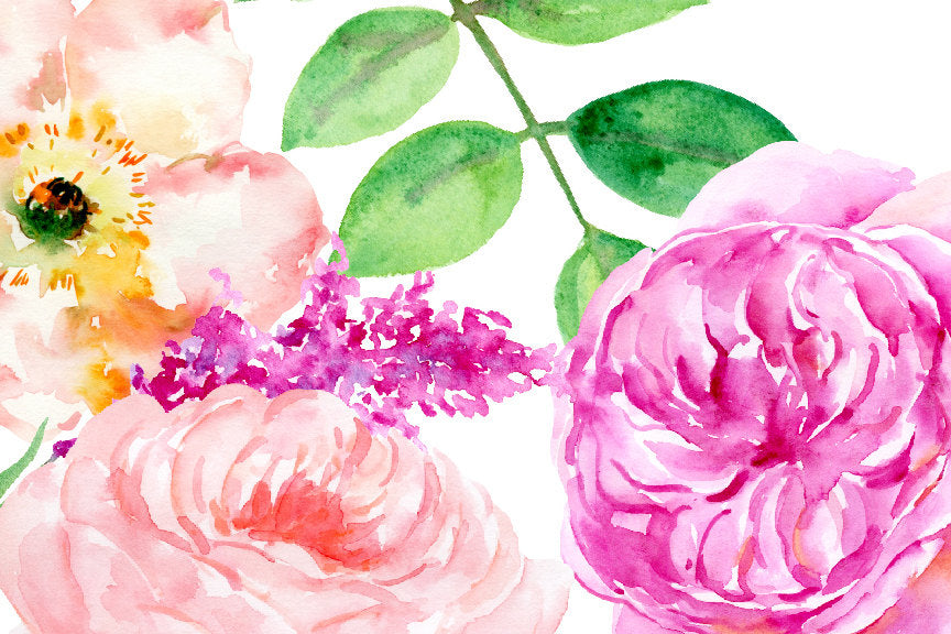watercolour clip art sensational, pink rose, yellow rose, roses clipart, corner croft