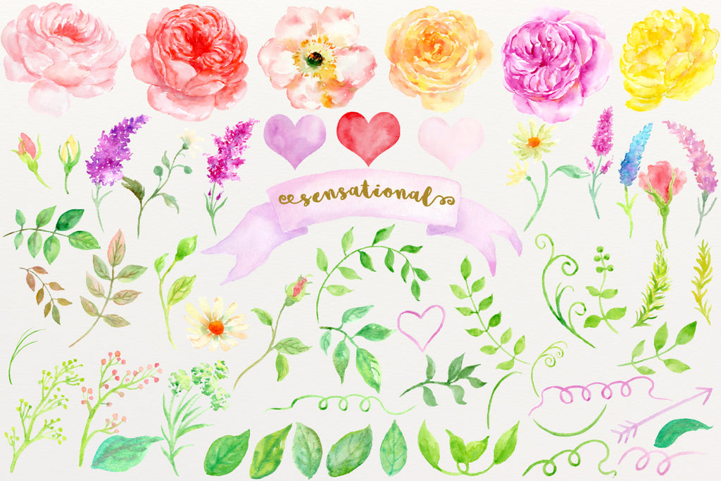 watercolor illustration of cottage rose, clipart sensational, pink rose, yellow rose, red rose, corner croft rose