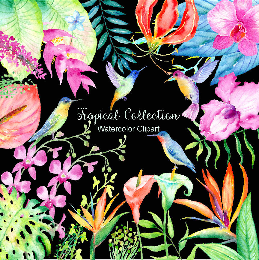 Watercolor tropical collection, exotic tropical flowers, lush foliages and beautiful humming birds