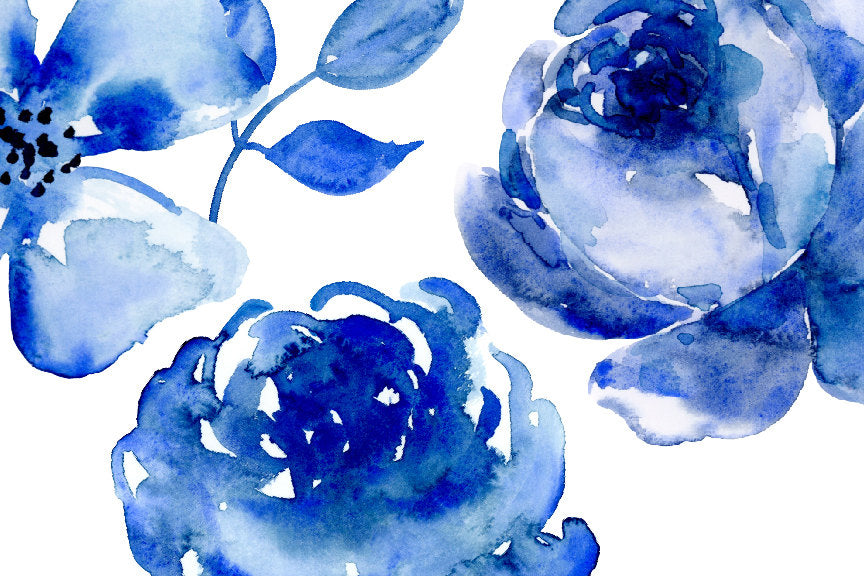 watercolor clipart indigo, dark blue rose, daisy and floral element, instant download 