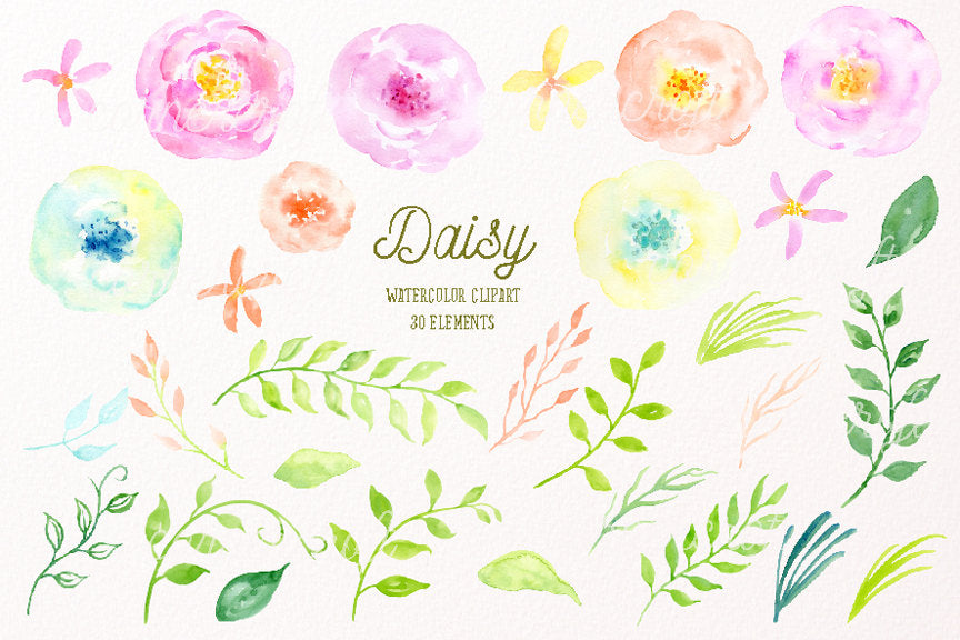 watercolor clipart Daisy, pastel color flowers, long leaf branch, logo design. 