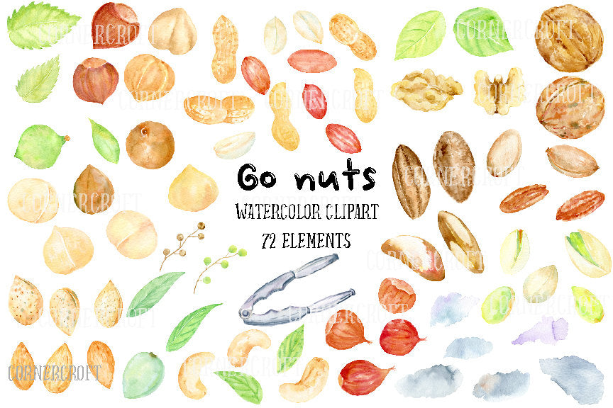 watercolor clipart go nuts, nut illustration 