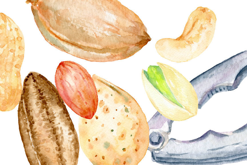 watercolor nut illustration, food, watercolor food, watercolor clipart go nuts
