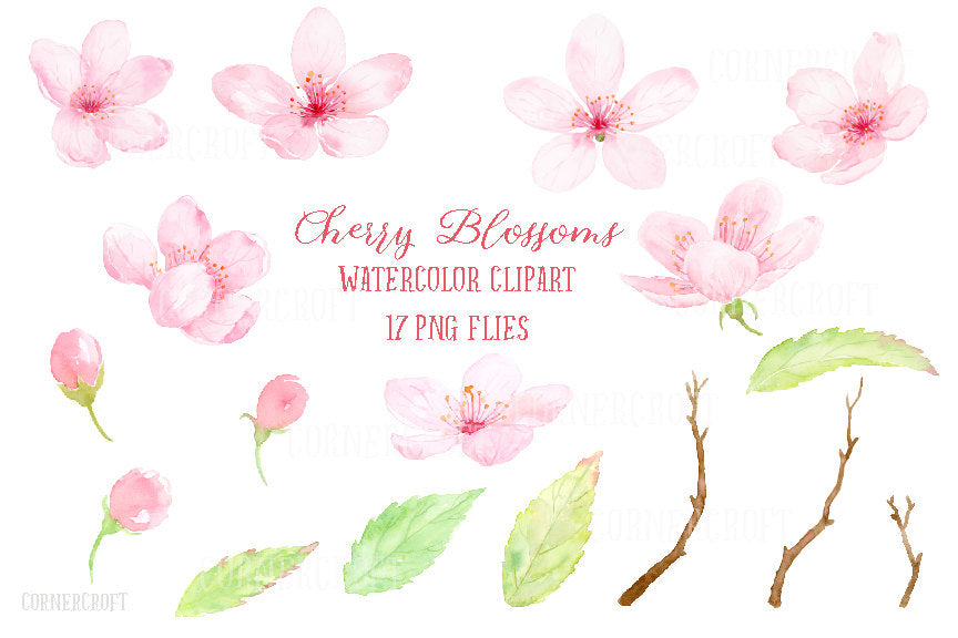 Watercolour elements of pink cherry flowers, branches and leaves.