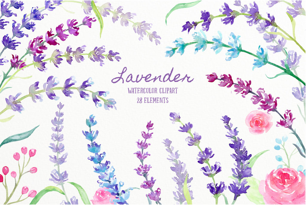 This collection includes 28 individual elements of lavender flowers in shade of blue, pink and purple, sprig of lavenders, pink rose and decoration items.