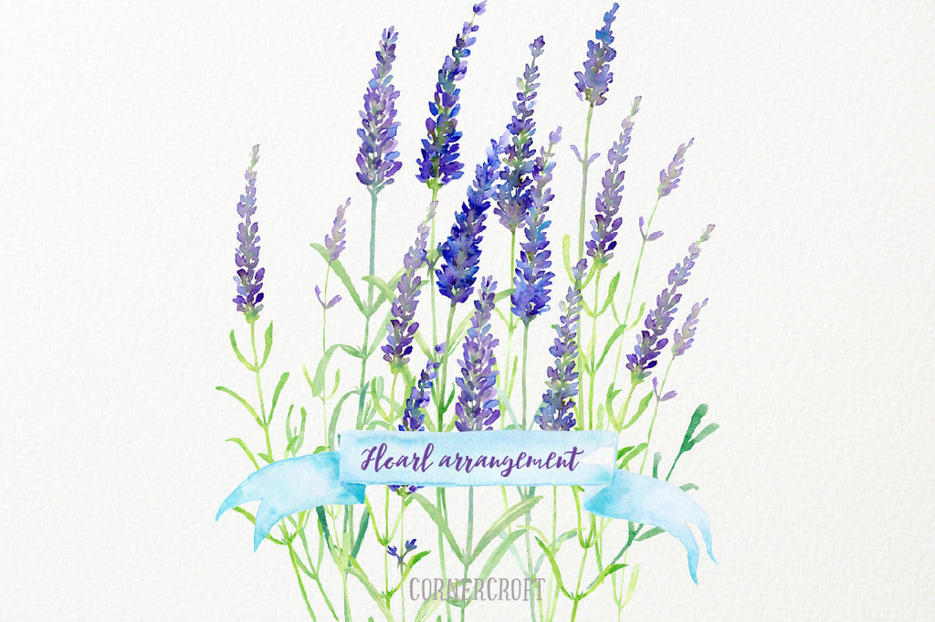 sprig of lavender, slander stem of lavenders in blue and purple color 